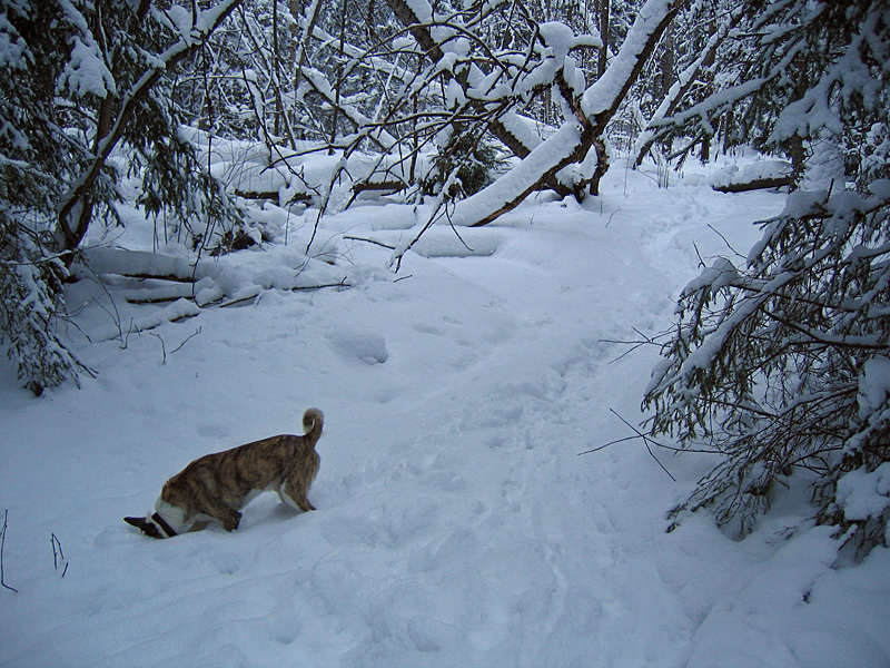 20050227_01.jpg - 2005-02-27.