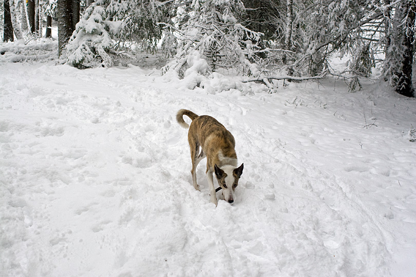 20070121_03.jpg - 2007-01-21.