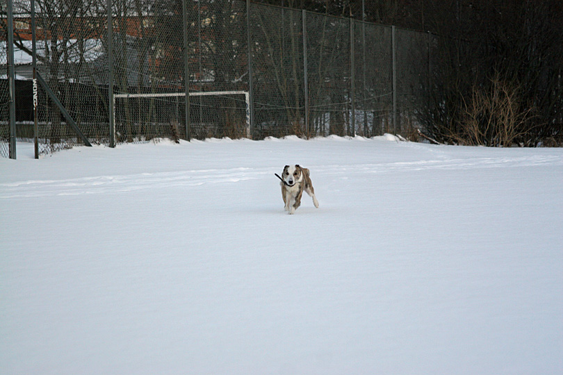 20060121_04.jpg - Västberga 2006-01-21.