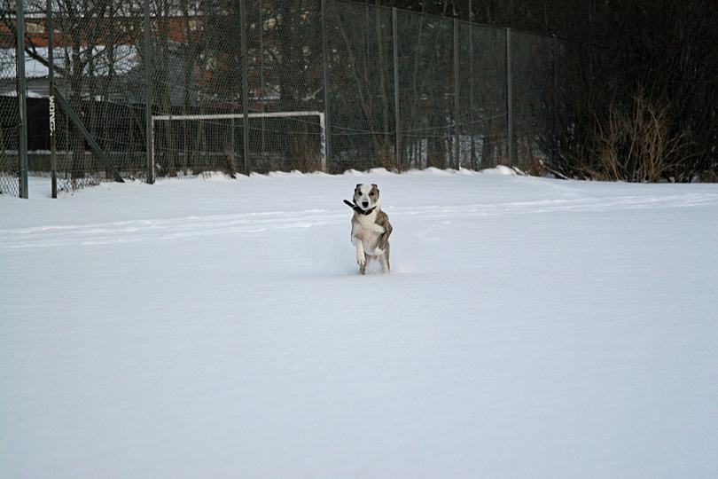 20060121_05.jpg - Västberga 2006-01-21.