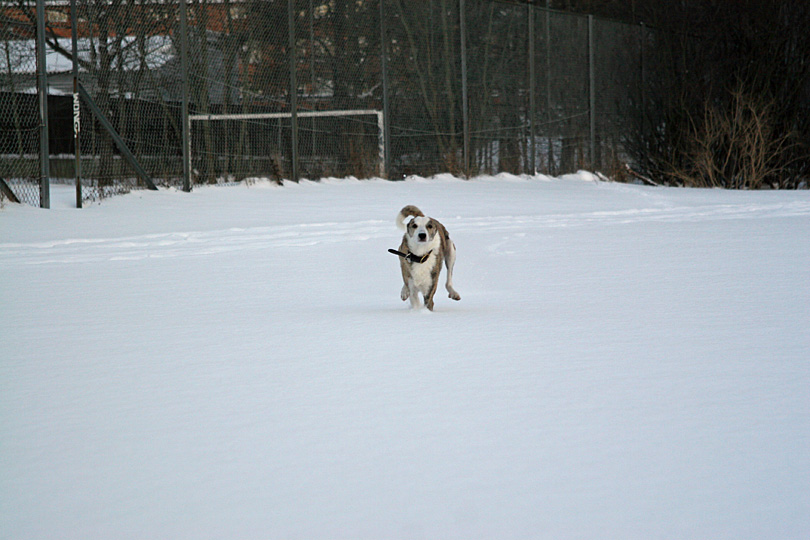 20060121_06.jpg - Västberga 2006-01-21.