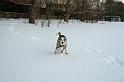 20060121_01